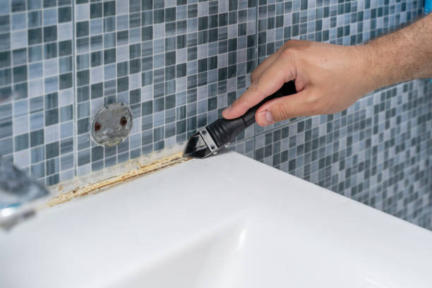 Best Mold Remediation  in Rayville, LA